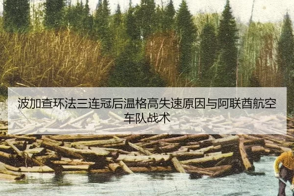 bo-jia-cha-huan-fa-san-lian-guan-hou-wen-ge-gao-shi-su-yuan-yin-yu-a-lian-qiu-hang-kong-che-dui-zhan-shu-2-466.jpg
